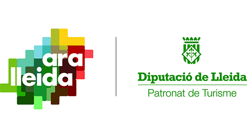 Logo Ara Lleida Diputació